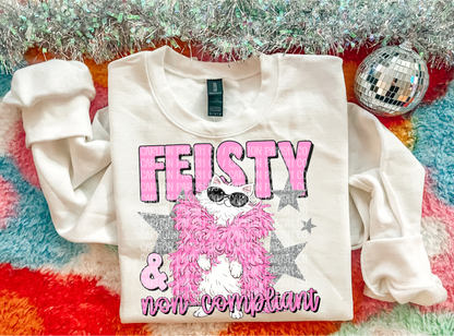 Feisty & Non Compliant Cat