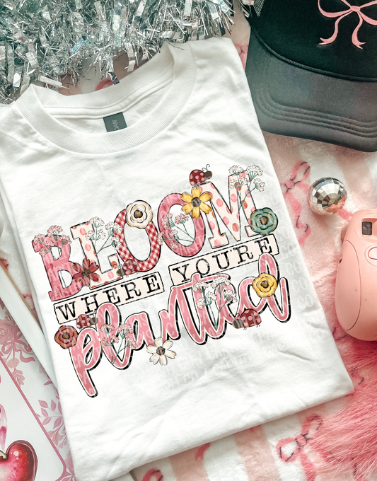 Bloom Where You’re Planted