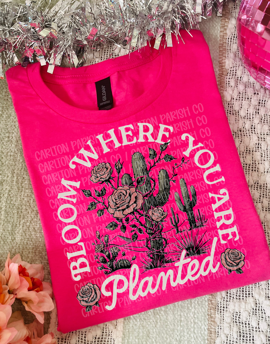 Bloom Where You’re Planted