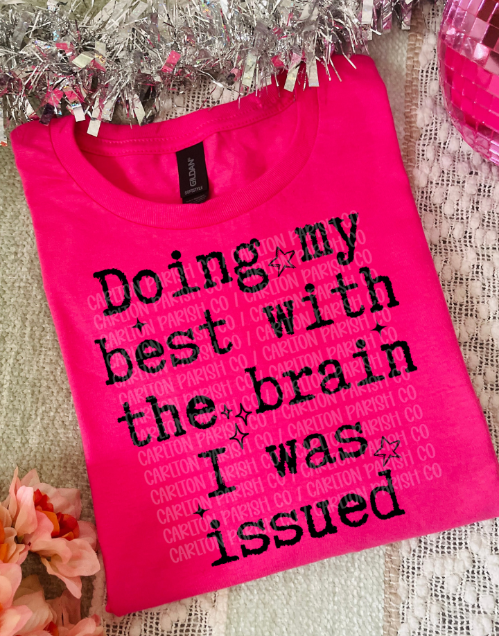 Doing My Best With the Brain I Was Issued