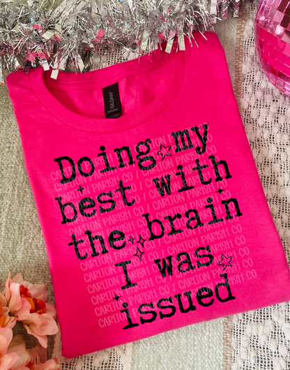 Doing My Best With the Brain I Was Issued