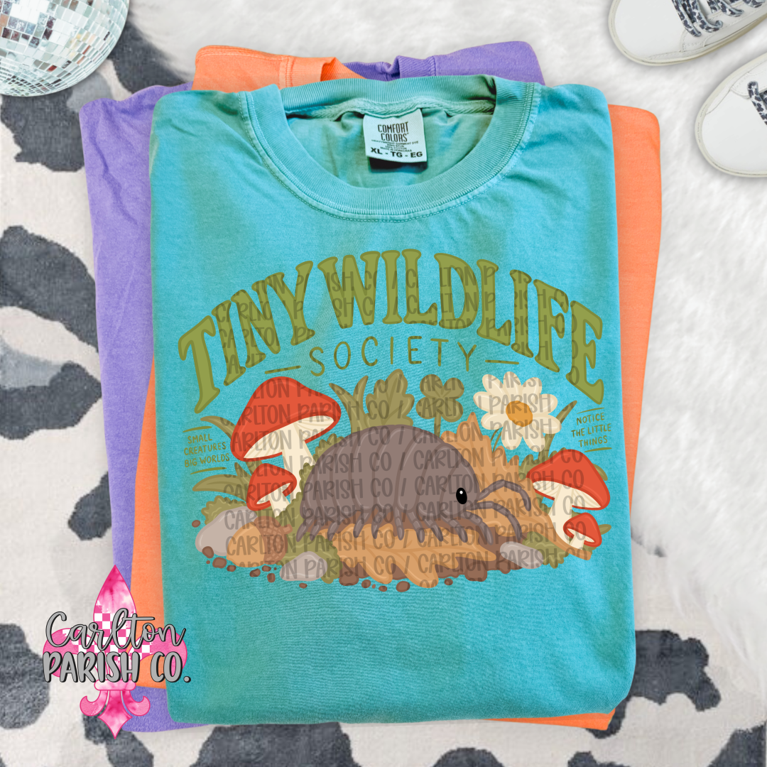 Tiny Wildlife Society Roly Poly Bug Graphic Tee