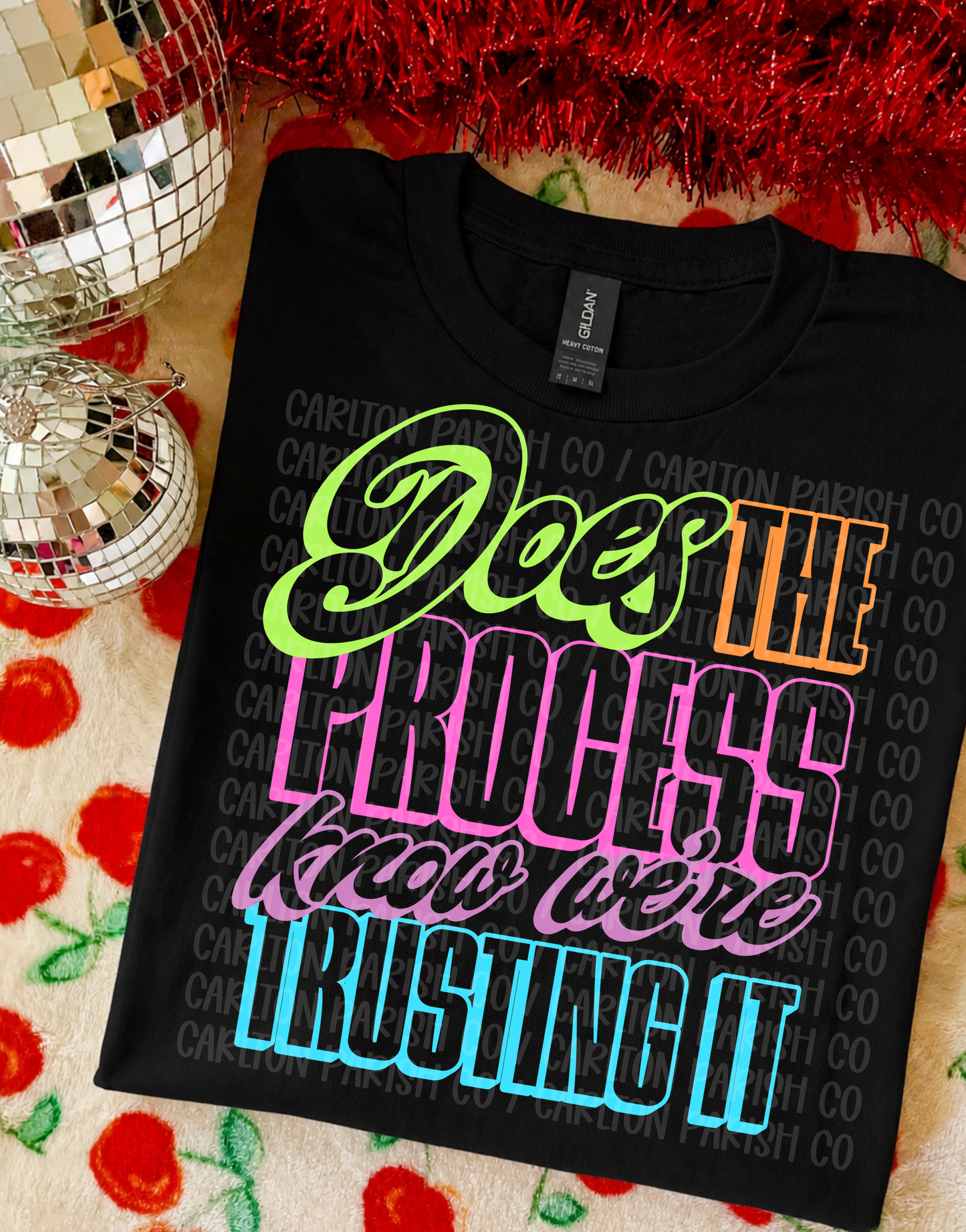 Trusting the Process | Funny Graphic Tee
