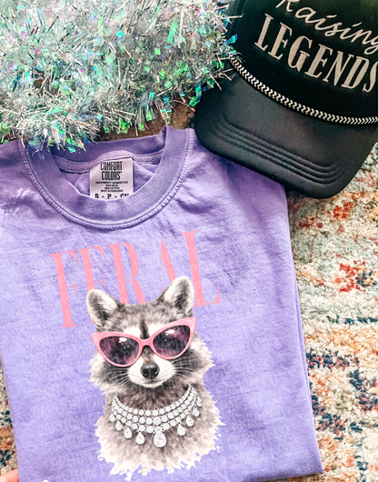 Feral Raccoon