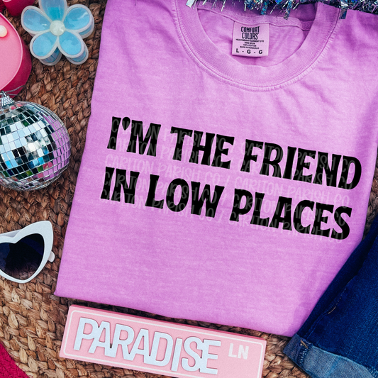 Friend in Low Places