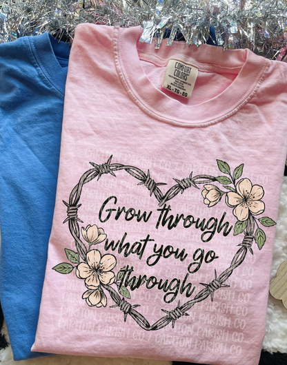 Grow Through What You Go Through