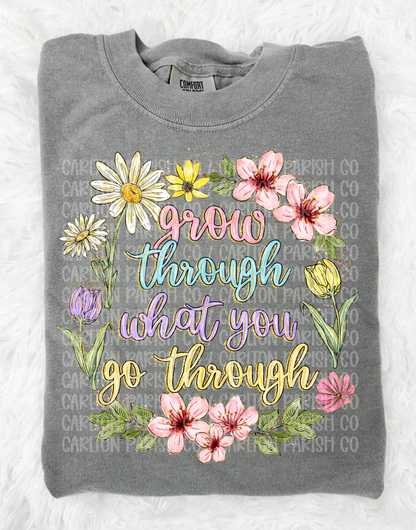 Grow Through What You Go Through
