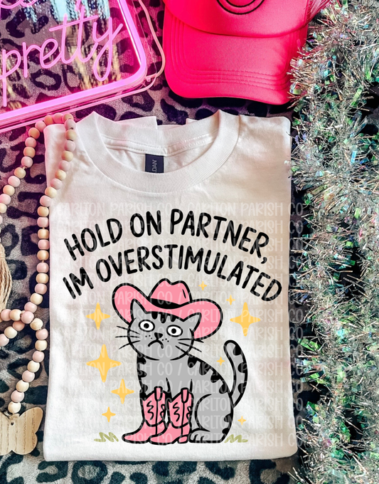 Hold On Partner Shirt | Funny Cowboy Cat Tee