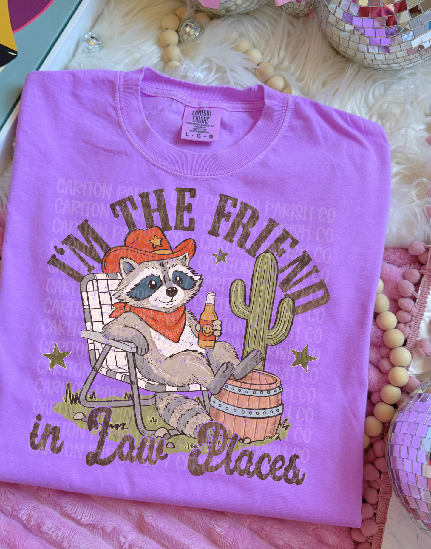 Friend in Low Places Shirt | Funny Raccoon Tee