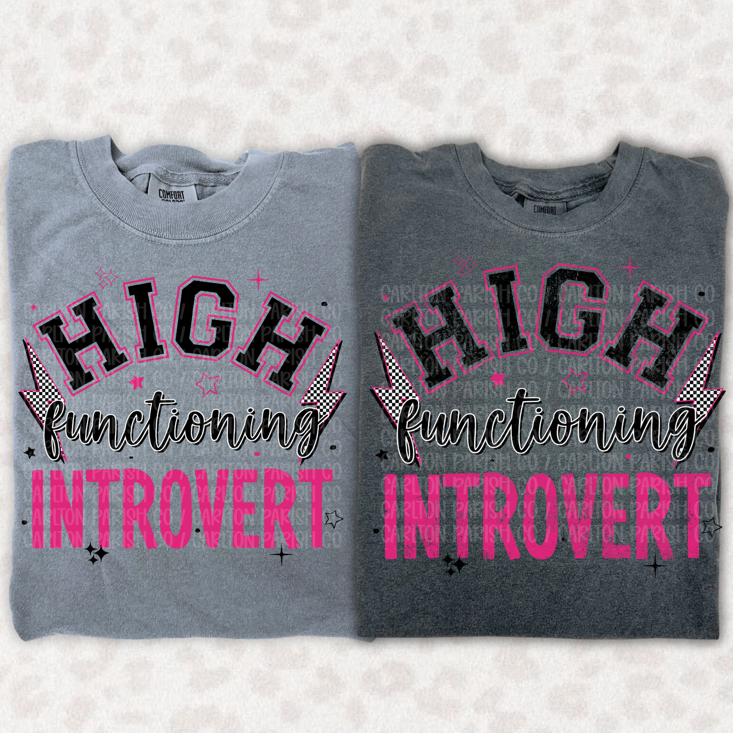 High Functioning Introvert