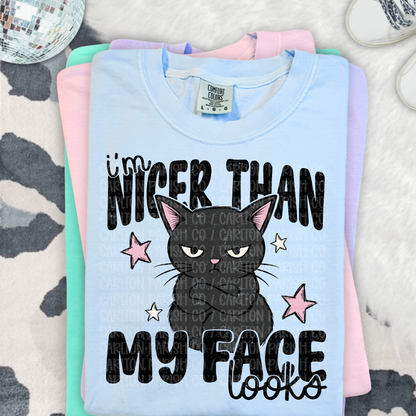 I'm Nicer Than My Face Looks Shirt | Funny Cat Tee