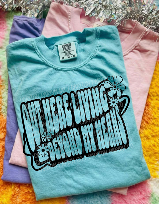 Living Beyond My Means