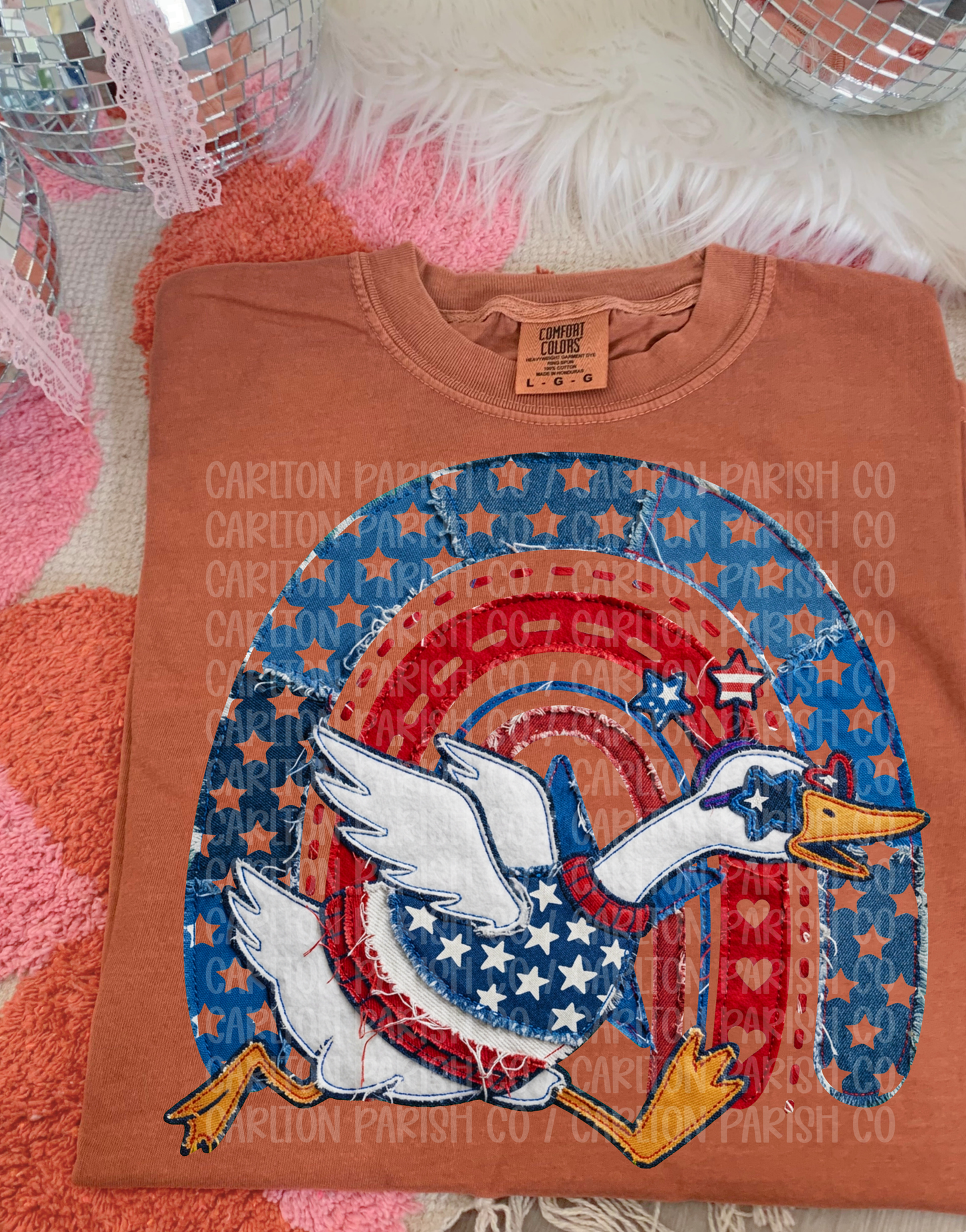 Patriotic Goose Shirt | Rainbow Americana Graphic Tee