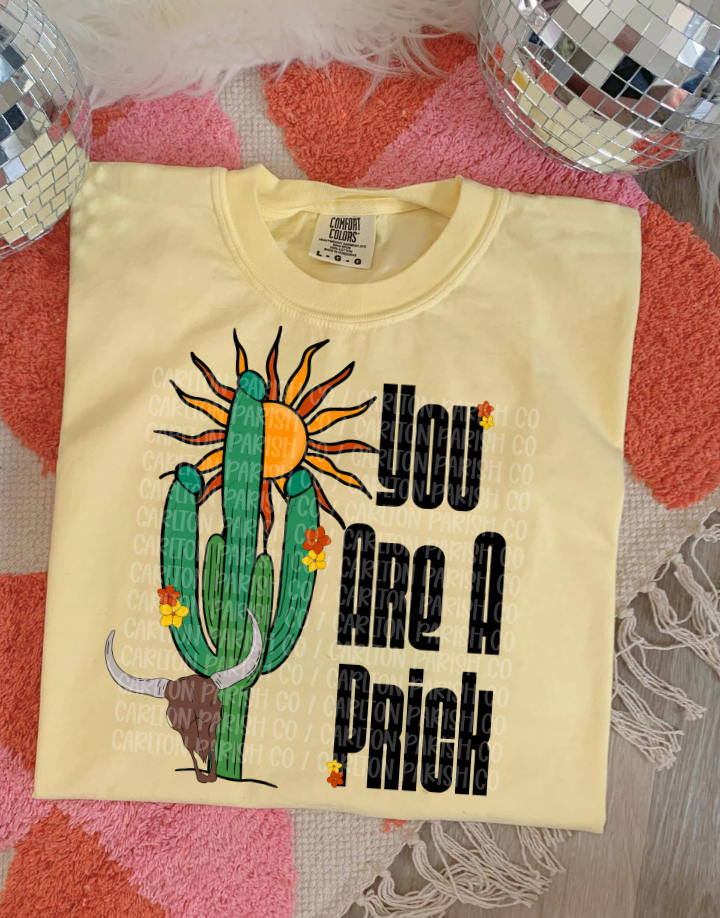 Beige t-shirt with cactus and text design on a textured surface with disco balls.