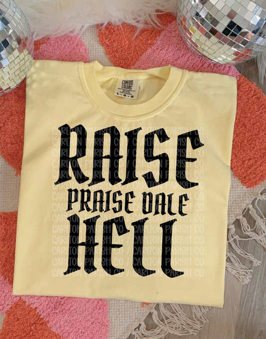 Beige t-shirt with black text 'RAISE HELL PRAISE DALE' on a textured surface with disco balls.