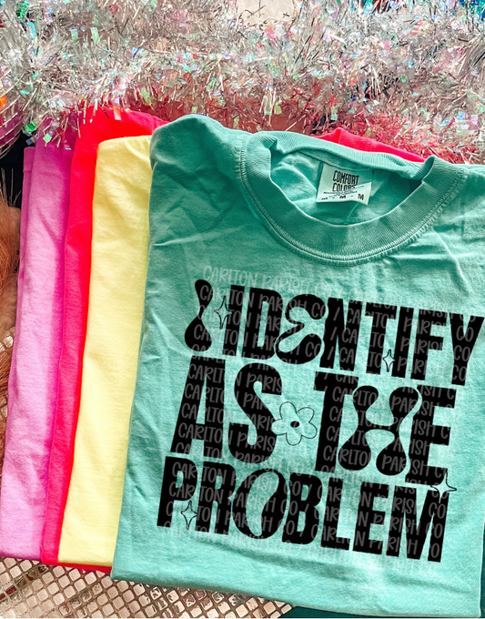 I Identify as the Problem