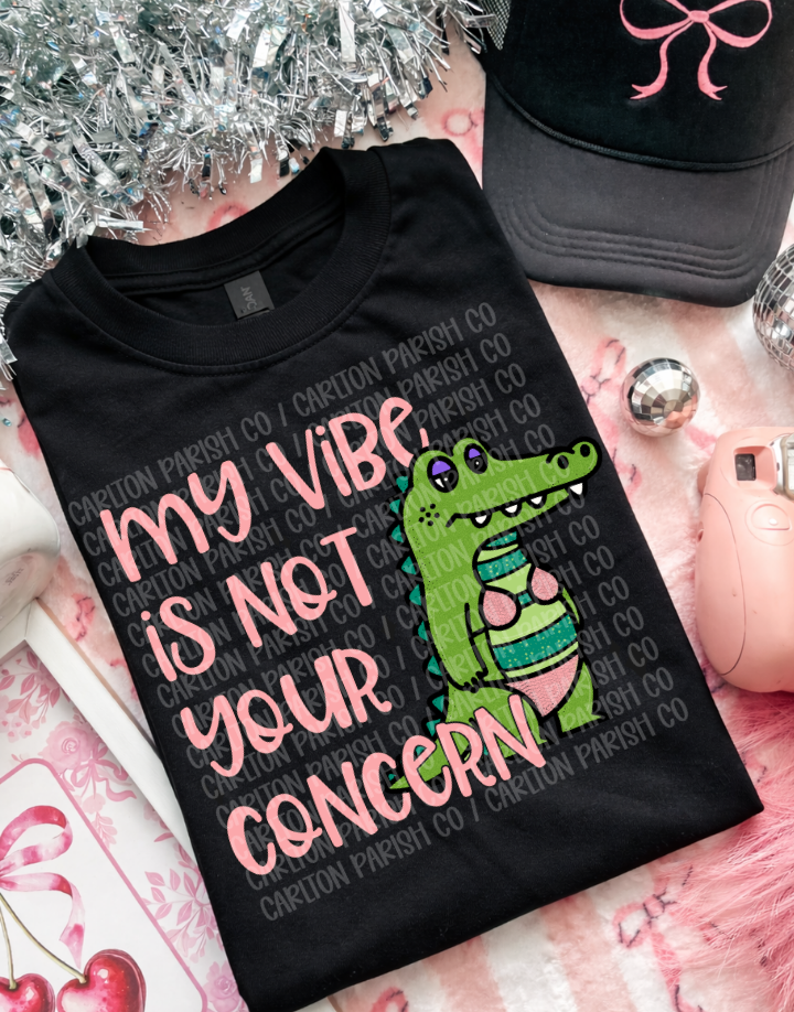 My Vibe Is Not Your Concern