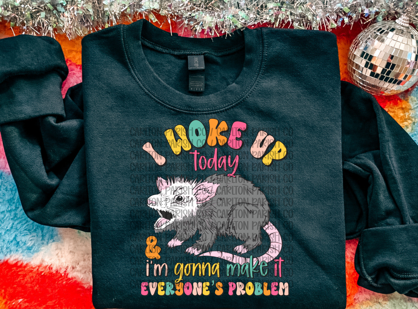 Possum I Woke Up Today A Problem